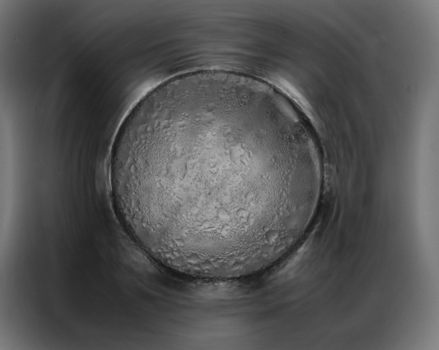 X0000086990891200704161504