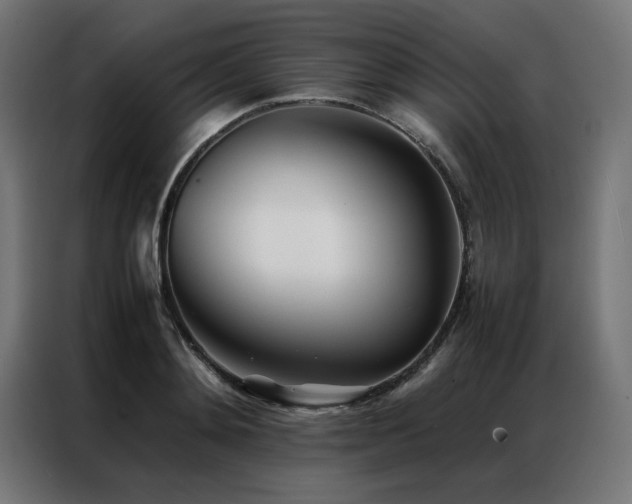 X0000086990892200704161504