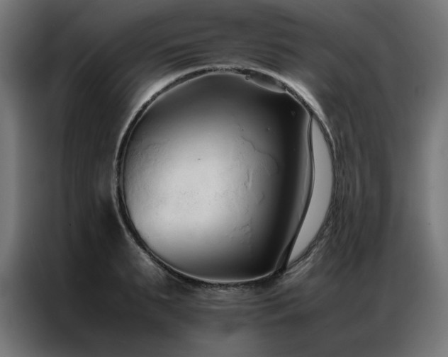 X0000086990895200704161504