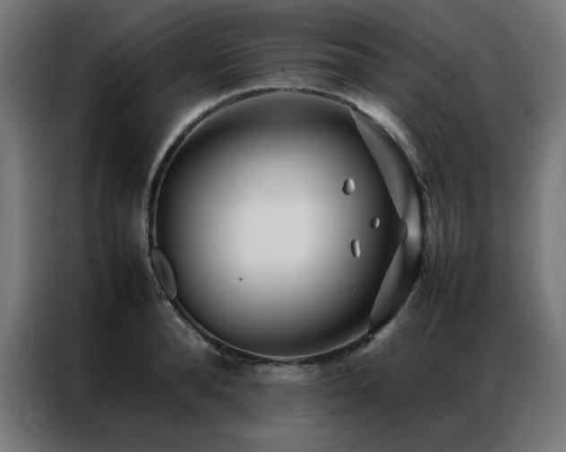 X0000086990896200704161504