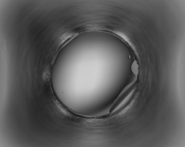 X0000086990897200704161504
