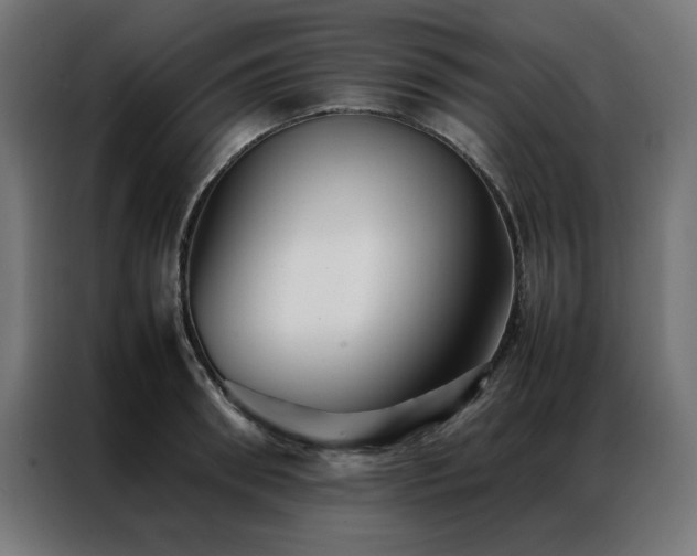 X0000086990898200704161504