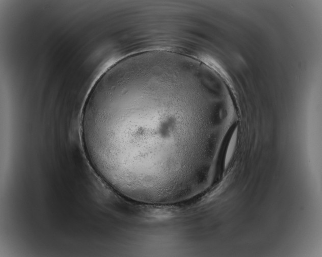 X0000086990899200704161504