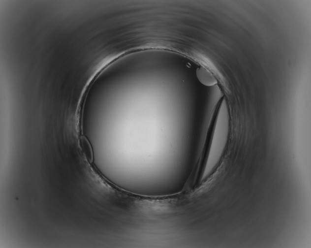 X0000086990900200704161504