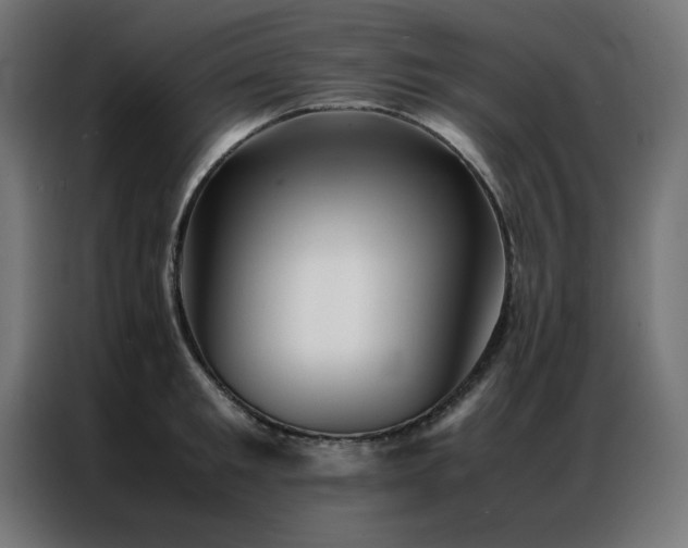 X0000086990901200704161504