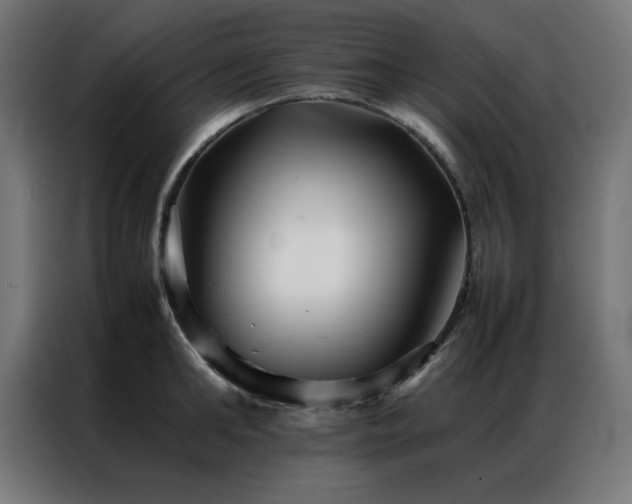 X0000086990902200704161504