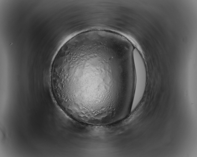 X0000086990903200704161504