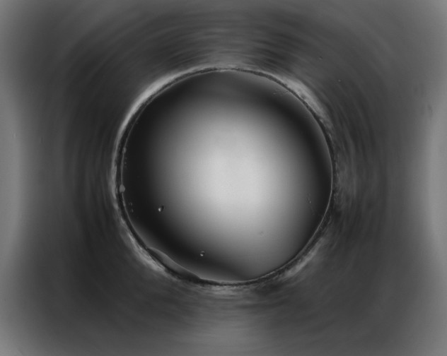 X0000086990904200704161504