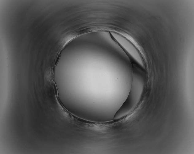 X0000086990905200704161504