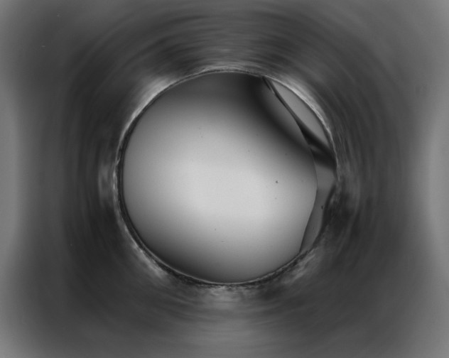 X0000086990906200704161504