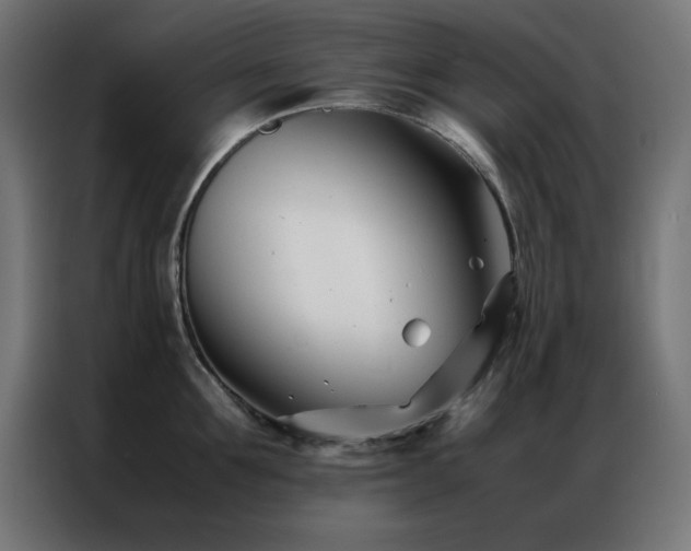X0000086990907200704161504