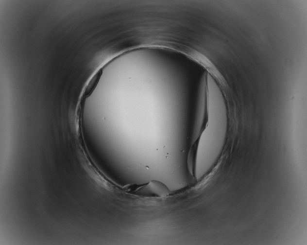 X0000086990908200704161504