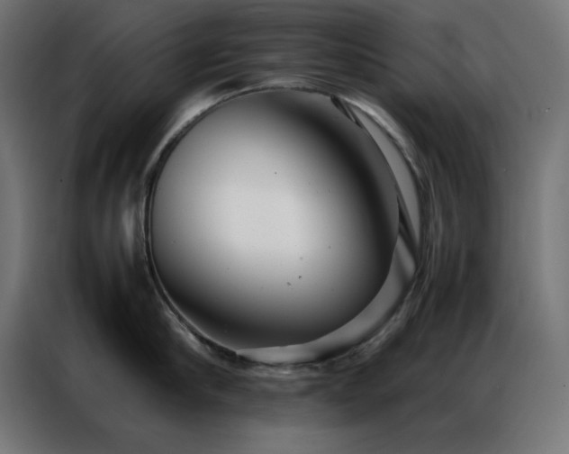 X0000086990910200704161504