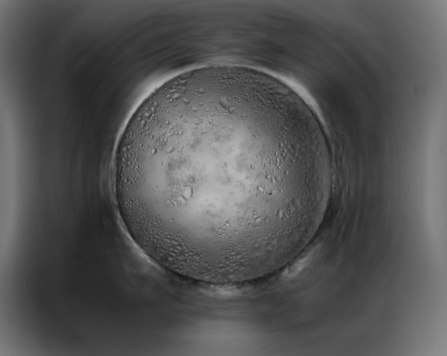 X0000086990911200704161504