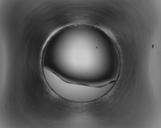 X0000086990912200704161504
