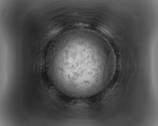 X0000086990917200704161503