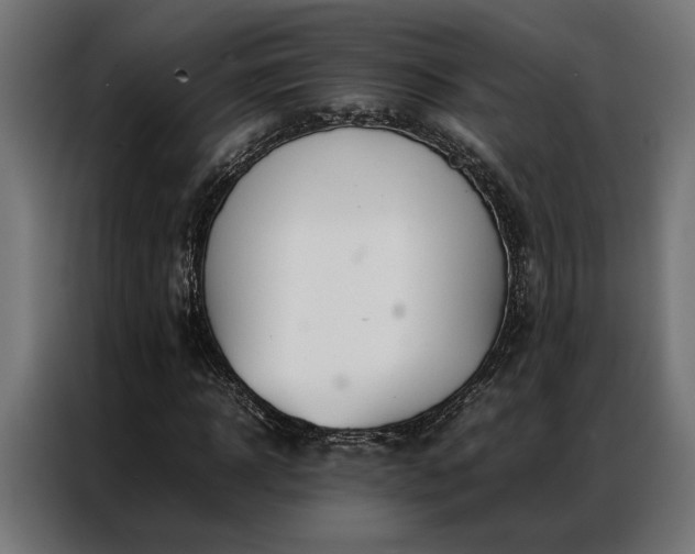 X0000086990918200704161503