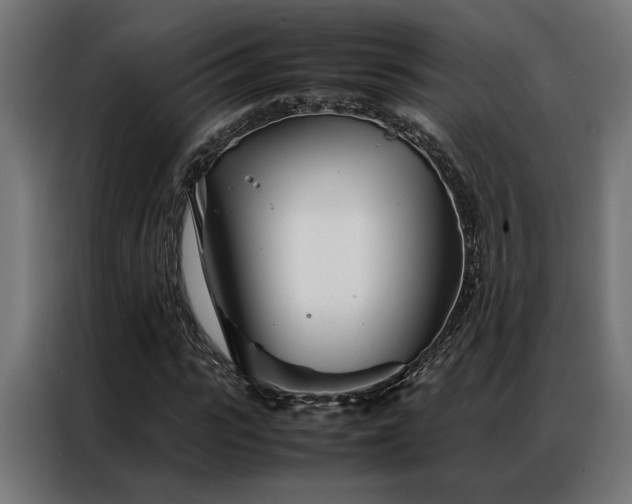 X0000086990919200704161503