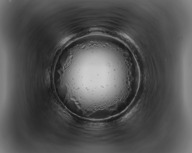 X0000086990921200704161503