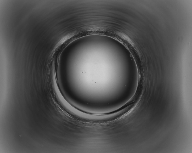 X0000086990922200704161503