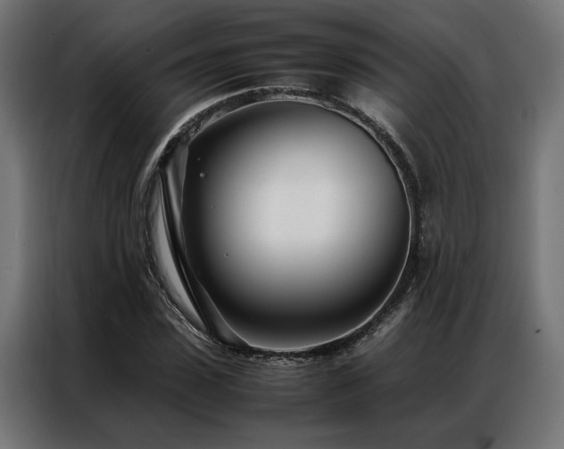 X0000086990923200704161503