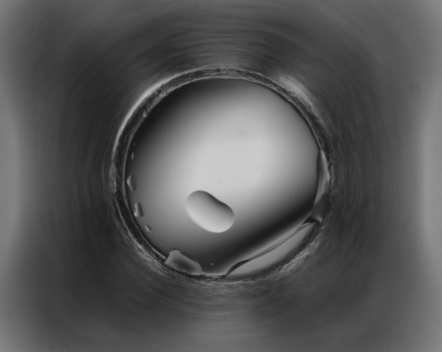 X0000086990924200704161503