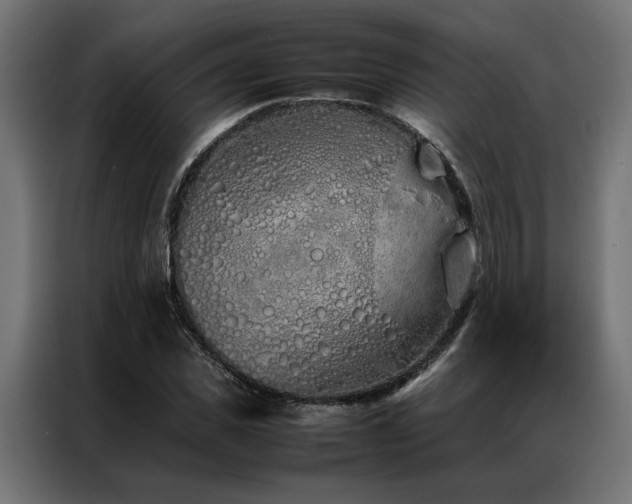 X0000086990925200704161503