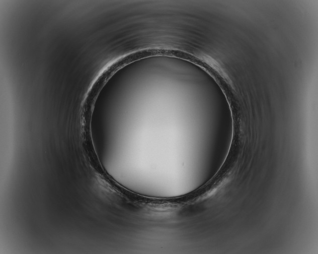 X0000086990926200704161503