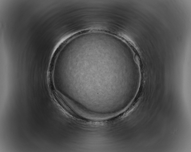X0000086990928200704161503