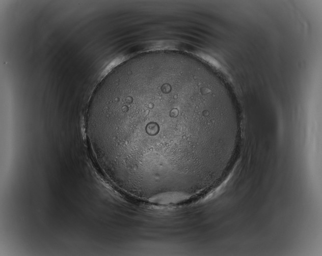 X0000086990929200704161503