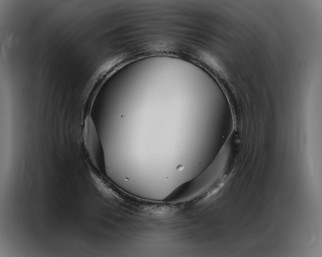 X0000086990930200704161503