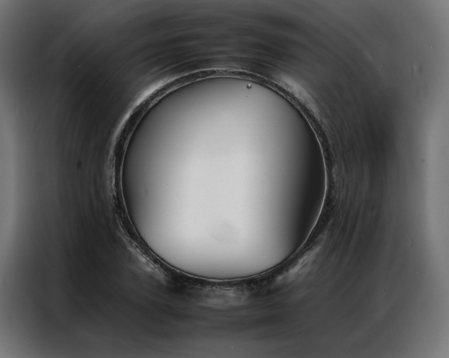 X0000086990931200704161503