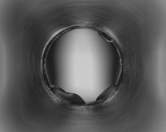 X0000086990932200704161503