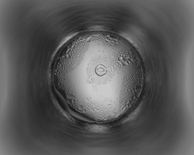 X0000086990933200704161503