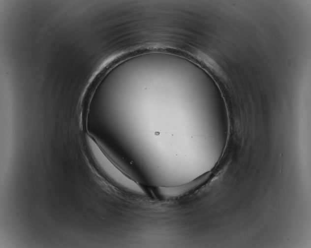 X0000086990934200704161503