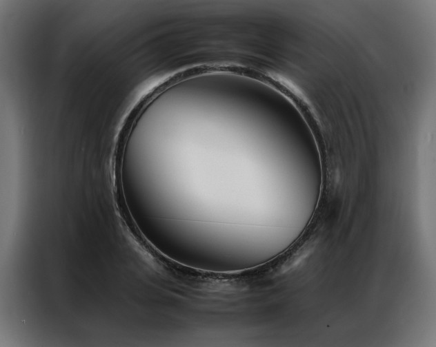 X0000086990935200704161503