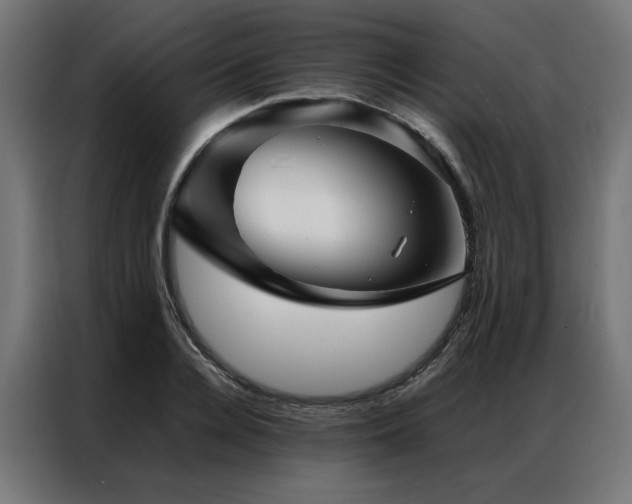 X0000086990936200704161503