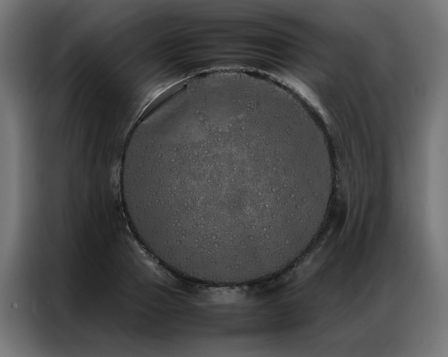 X0000086990937200704161503