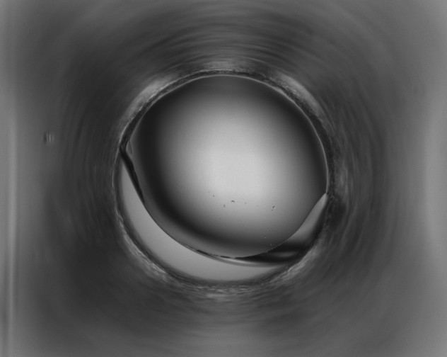X0000086990938200704161503