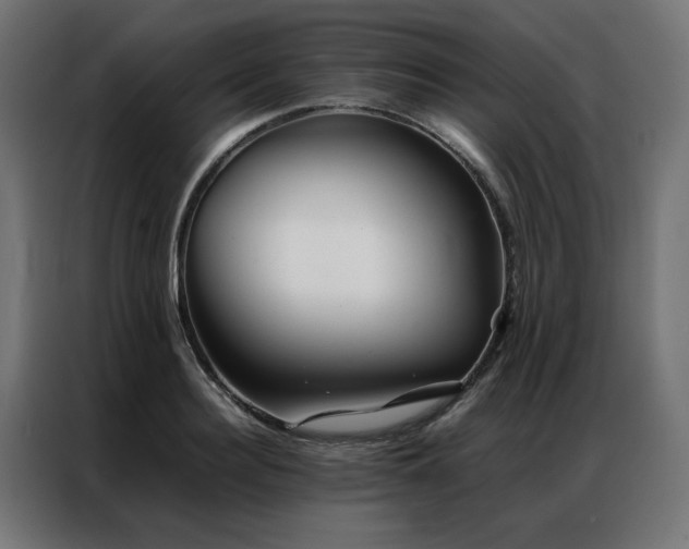 X0000086990940200704161503