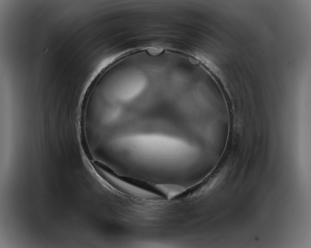 X0000086990941200704161503