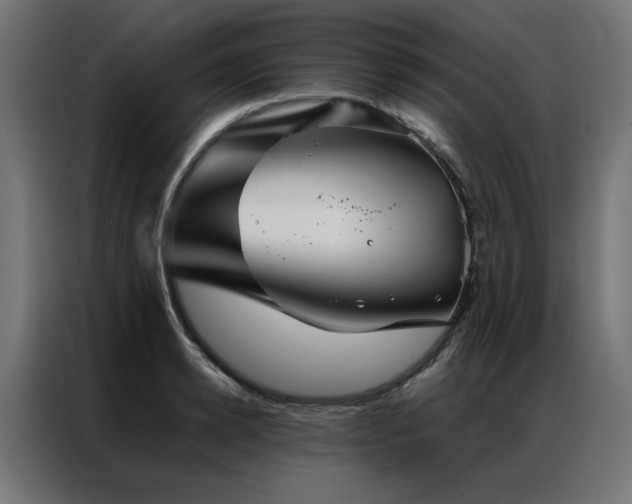 X0000086990942200704161503