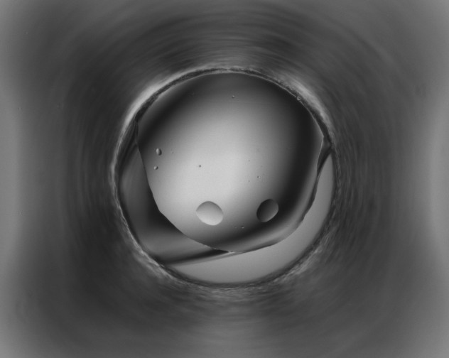 X0000086990944200704161503