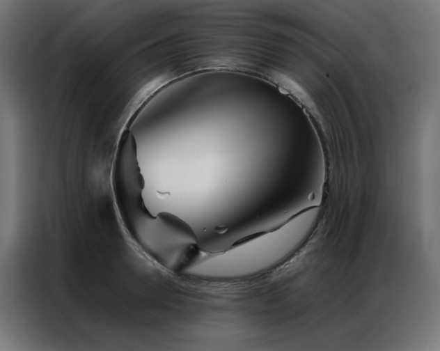 X0000086990946200704161503