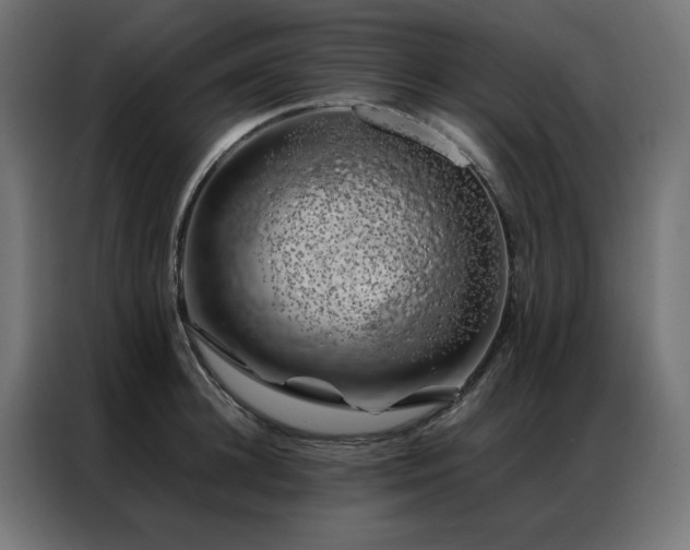 X0000086990948200704161503