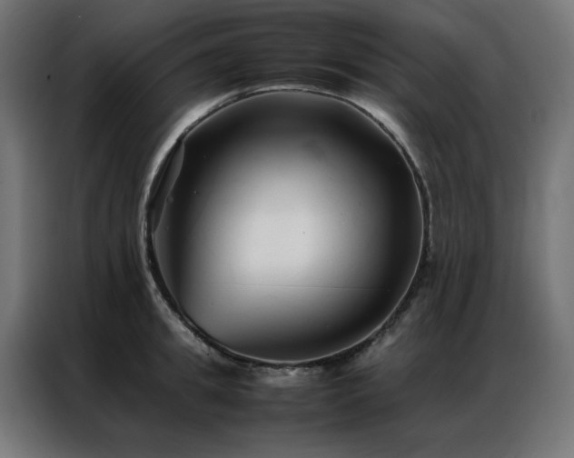 X0000086990949200704161503