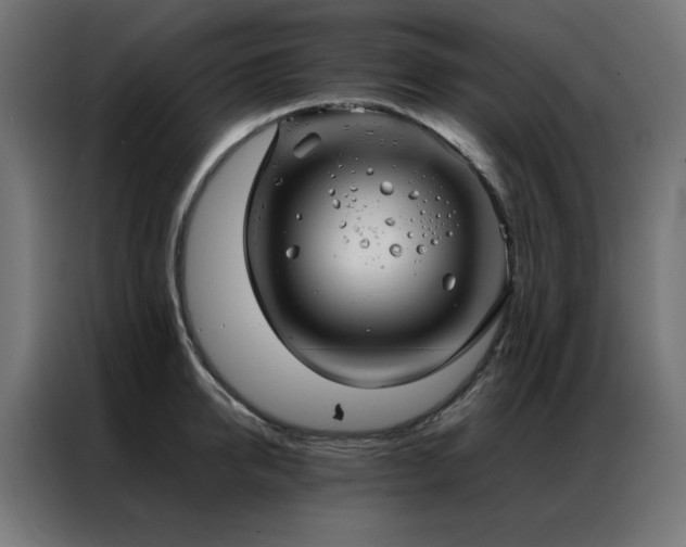 X0000086990950200704161503