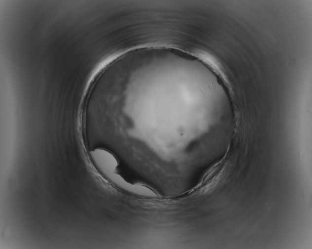 X0000086990952200704161503