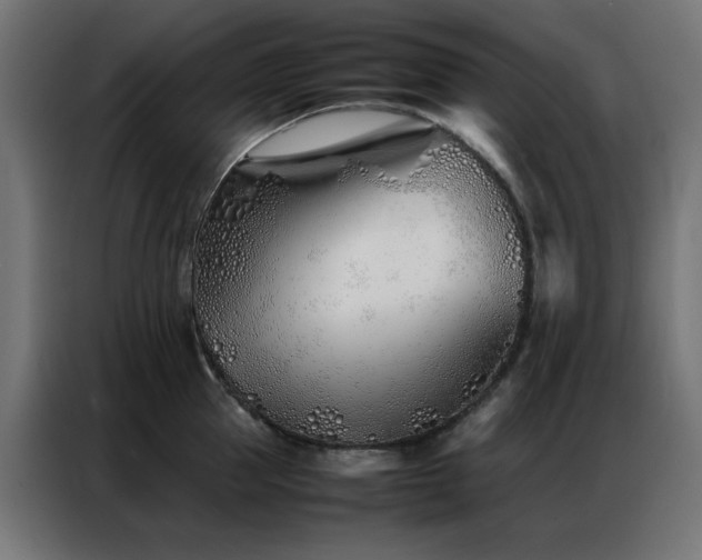 X0000086990953200704161503