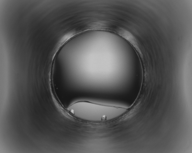 X0000086990954200704161503